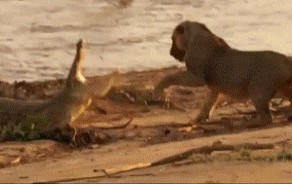 Пасть закрой и иди выпендривайся в воду