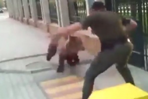 В Чечне сбежал медведь из зоопарка