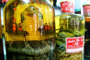 Змеиное вино: экзотический напиток не для слабонервных