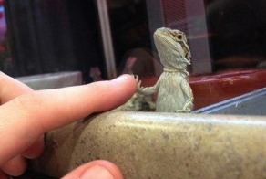 подборка прикольных картинок!