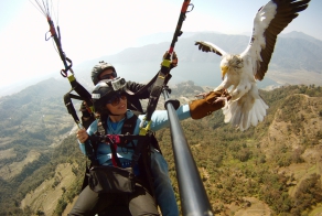 Фотоподборка за 16.04.2014