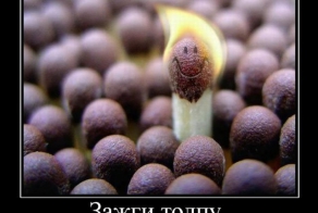 Фишкина солянка за 16.04.2014