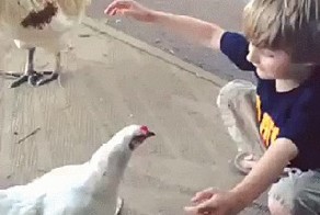 Давай обнимемся 