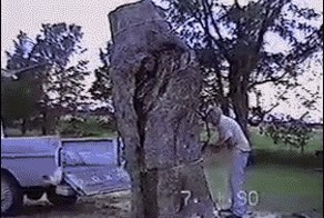 Интересно, чего он ожидал?