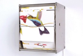 Необычные машины создающие покадровую анимацию летающих птиц и бабочек