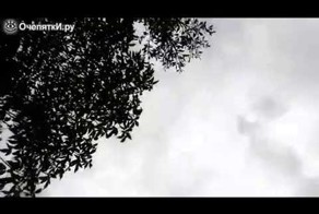 Идиот получил от машиниста в голову=)