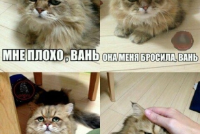 Фишкина солянка за 18.04.2014