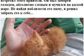 Минута доброты