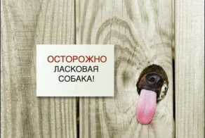 Прикольные надписи и объявления