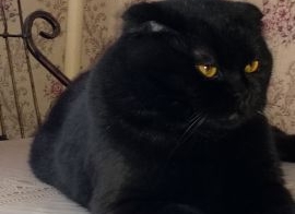 Ищем место дислокации в Белгородской области!