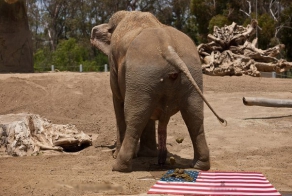 Больше, чем просто фото