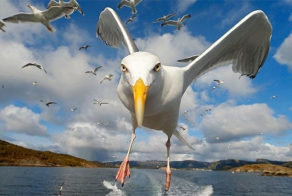 Запечатлённые мгновения.