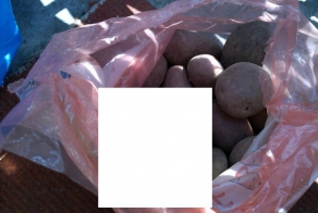 Сюрприз в пакете с картошкой