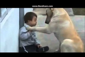 Рождение дружбы 