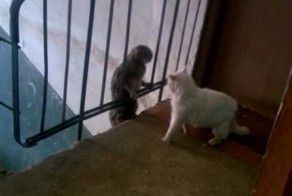 Не получилось взять авторитетом и харизмой))