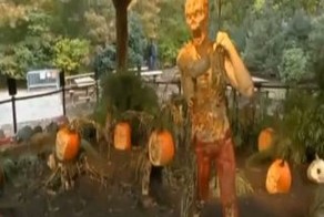 Подборка роликов от 26.10.2012