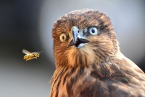 Фотоподборка за 22.04.2014