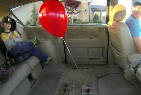 Шарик в автомобиле