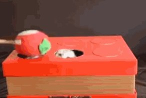 Хозяин, прекрати 