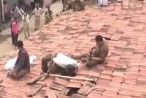 Кто тут у нас