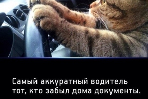 Подборка автоприколов. Часть 121