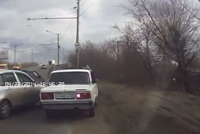 Стадо баранов