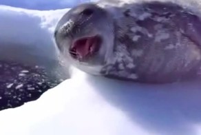 3 кубика позитива