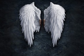 Небесный спецотдел