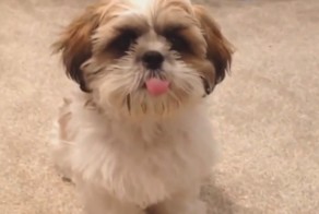 Лучшие приколы #6