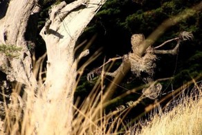 Адское пугало