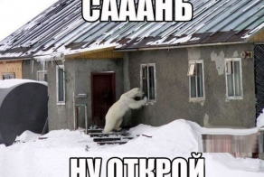 Такое возможно только в России