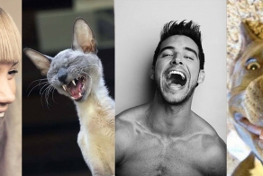 Истории из жизни или чего только в жизни не бывает