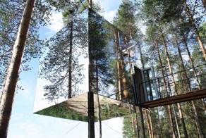 8 самых удивительных отелей на деревьях