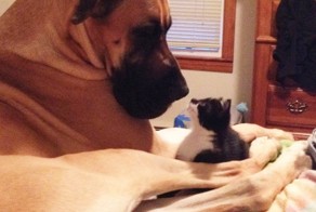  Такая дружба =) 