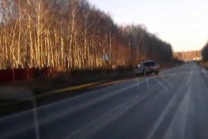 Едешь себе, котов слушаешь…как вдруг