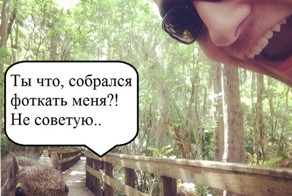 Неожиданное продолжение селфи с белкой