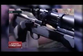 Куда исчезли "Дикие Гуси"? 