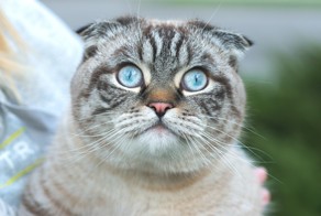 А че хавчик уже закончился?