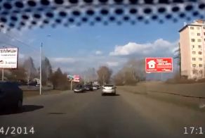 Некоторым нужно поучиться у собак, как правильно переходить дорогу