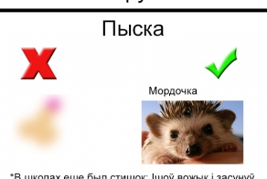 Небольшой урок беларуского языка