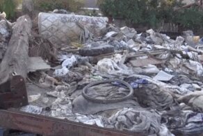 Нашли на свалке пса и выходили его