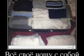 Демотиватор