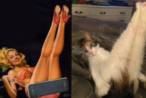 кошки vs девушки