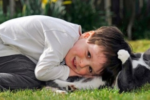 Терпение домашних животных