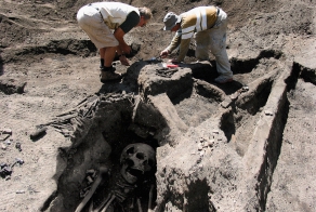 Подделка ради сенсации