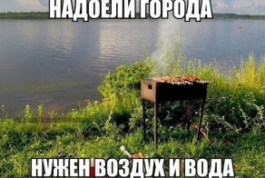 Фишкина солянка за 06.05.2014