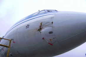 Столкновение самолета Ту-154м с гусем