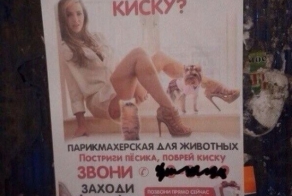 Шедевральные объявления и надписи