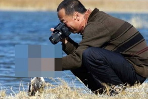 Настойчивый  фотограф