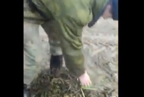 Собрали урожай